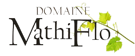 MathiFlo Domain